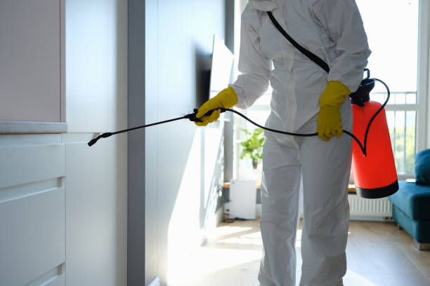 Best Professional Mold Removal  in Springfield, MN
