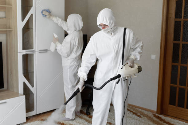 Best Certified Mold Removal  in Springfield, MN