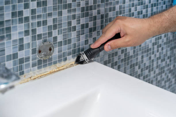 Best Fast Mold Removal  in Springfield, MN