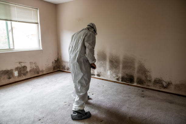 Best Mold Testing  in Springfield, MN