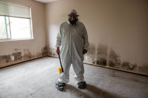 Best Crawl Space Mold Removal  in Springfield, MN
